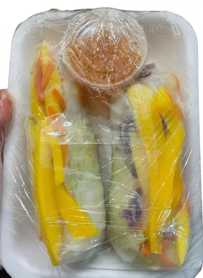 Rouleaux de printemps végétariens