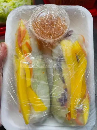Rouleaux de printemps végétariens